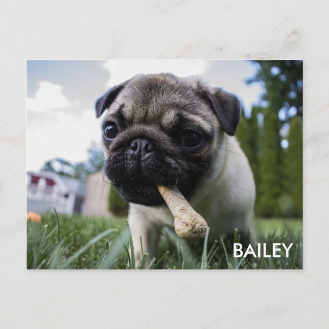 Create Your Own Custom Photo Postcard (Front)