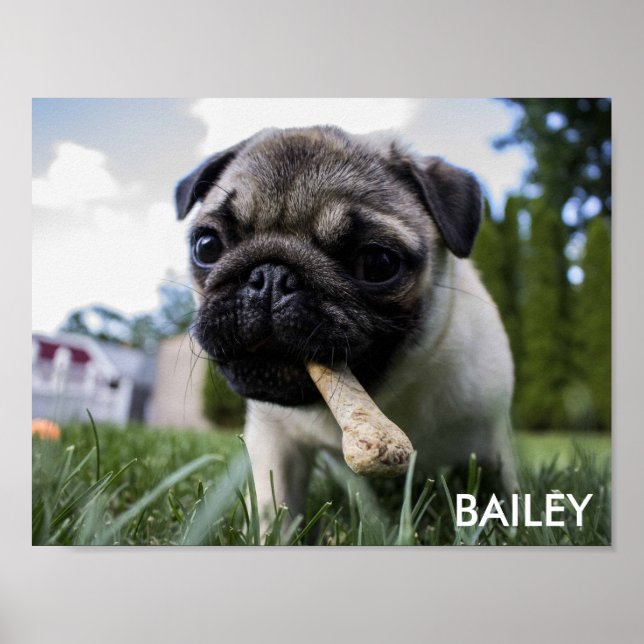 Create Your Own Custom Photo Poster (Front)