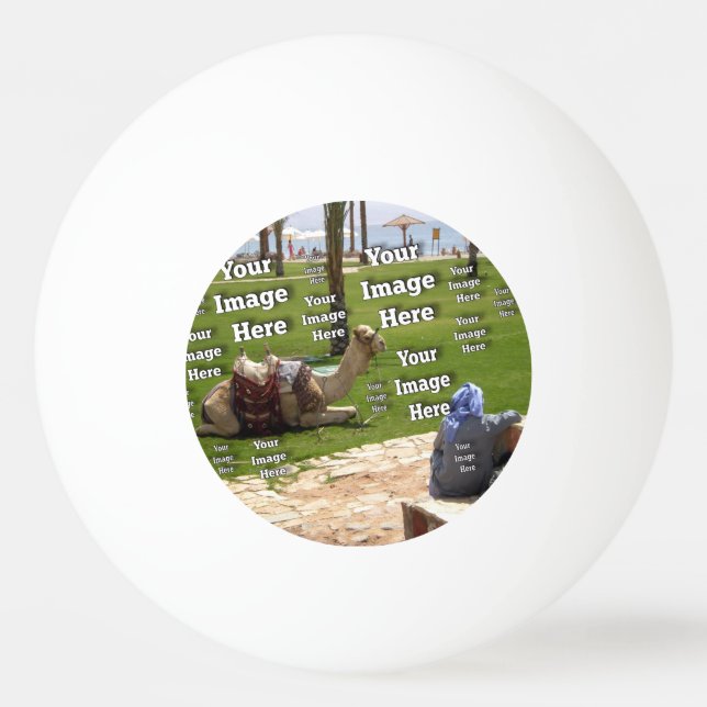🤍 Create Your Own Custom Template Ping Pong Ball (Back)