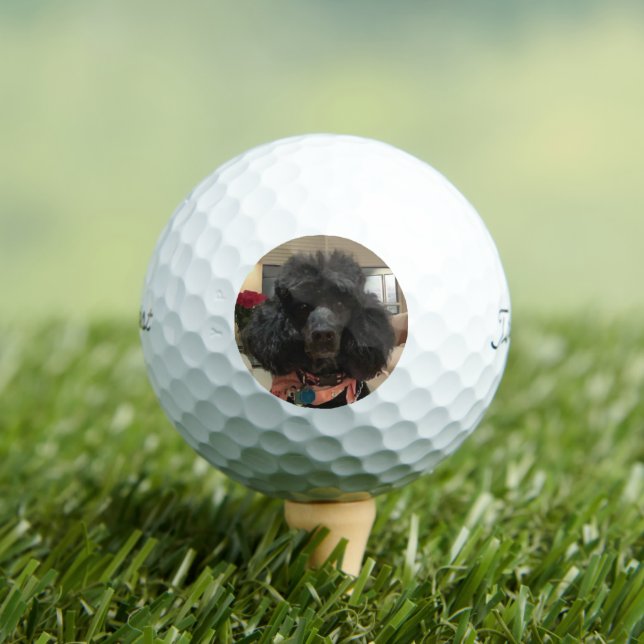 Create Your Own Dog Photo Custom Golf Balls (Insitu Tee)