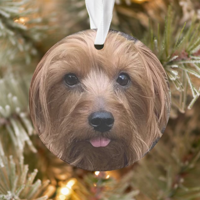 Create Your Own Dog Photo Custom Pet Puppy  Ornament (Tree)