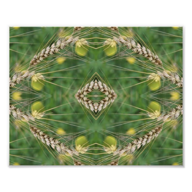 Create Your Own Dried Summer Grass Frame 8x10 Photo Print (Front)