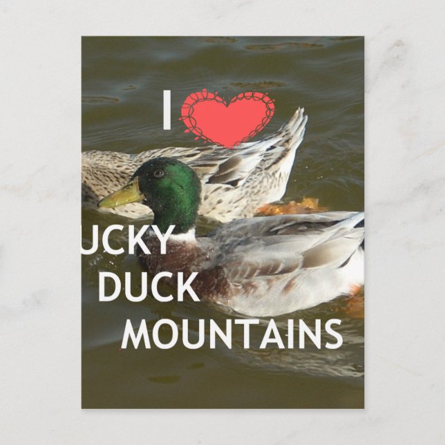 Create Your Own Ducky duck mountains. Postcard (Front)