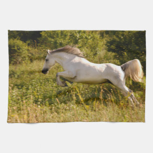 Create Your Own Equestrian Horse Photo Custom Kitchen Towel