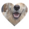 Create your own expressions!  Easy to use tools!