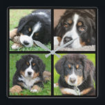 Create your own family photo collage square wall clock<br><div class="desc">Create your own family photo collage Square Wall Cloc
Add your most photos to personalize.</div>