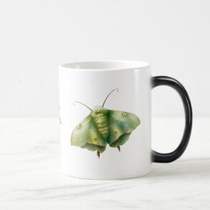 Create Your Own Green Fantasy Moth Magic Mug