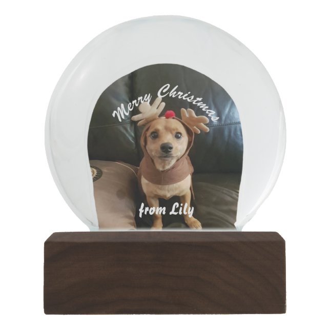 Create your own Merry Christmas snow globe (Front)