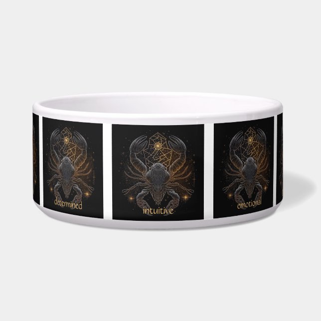 Create Your Own Mystical Astrology Scorpio Zodiac (Front)