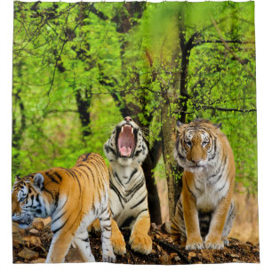 Create your own Nature and Tiger lovers Forest