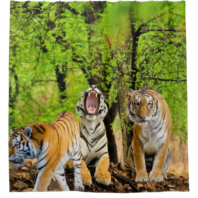 Create your own Nature and Tiger lovers Forest (Front)