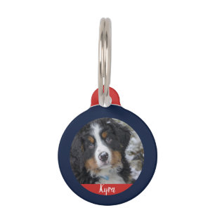 Create your own og photo name contact information pet tag