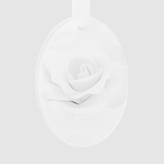 Create Your Own -  Ornament