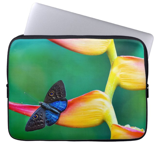 Create Your Own Personalized Custom Photo Template Laptop Sleeve (Front)