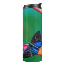 Create Your Own Personalized Custom Photo Template