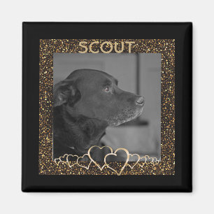 Create Your Own   Personalized Pet Photo Keepsake Magnet