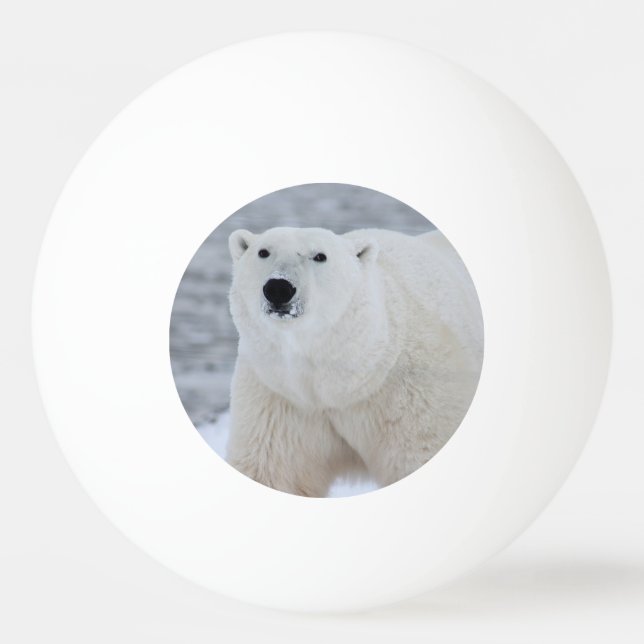 Create Your Own Personalized Photo Ping Pong Ball (Front)