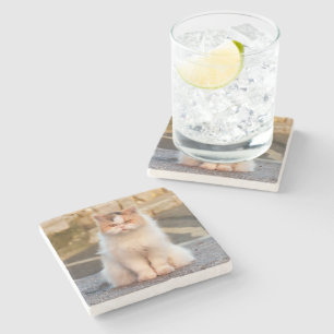 Create Your Own Pet Cat Personalized Photo Stone Coaster