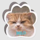 Create Your Own Pet Cat Photo Car Magnet
