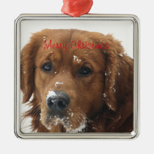 Create Your Own Pet Christmas Ornament