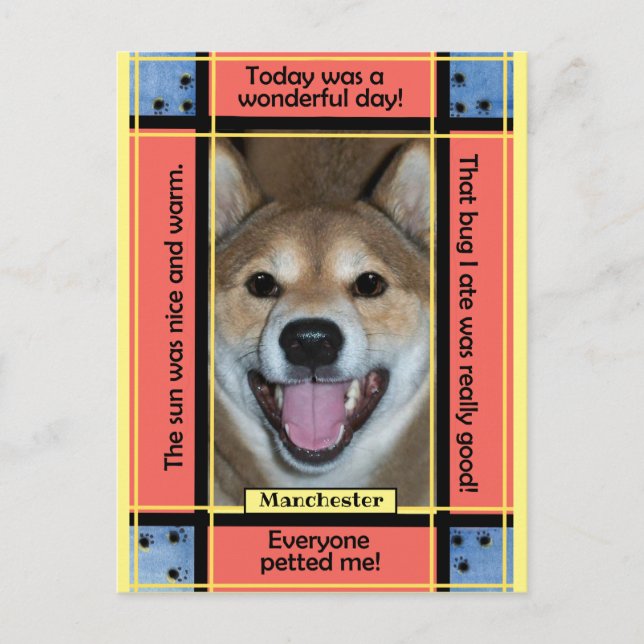 Create Your Own Pet Dog Cat Photo Funny Text Postcard (Front)