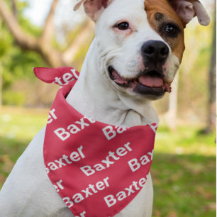 Dog bandanas with name best sale