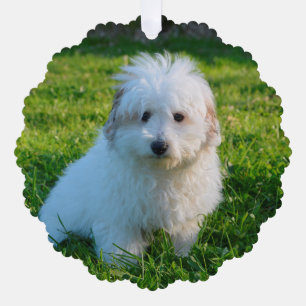 Create Your Own Pet dog Photo Ornament Card