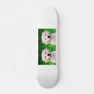 Create Your Own Pet Dog Photo Skateboard