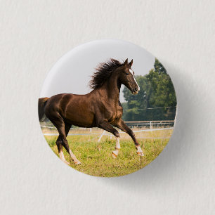 Create Your Own Pet Horse Photo Custom Picture 1 Inch Round Button