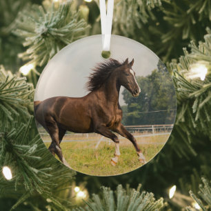 Create Your Own Pet Horse Photo Custom Picture Glass Ornament