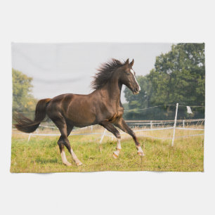 Create Your Own Pet Horse Photo Custom Picture Kitchen Towel