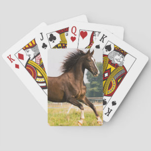 Create Your Own Pet Horse Photo Custom Picture Playing Cards