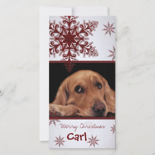 Create your own pet photo card