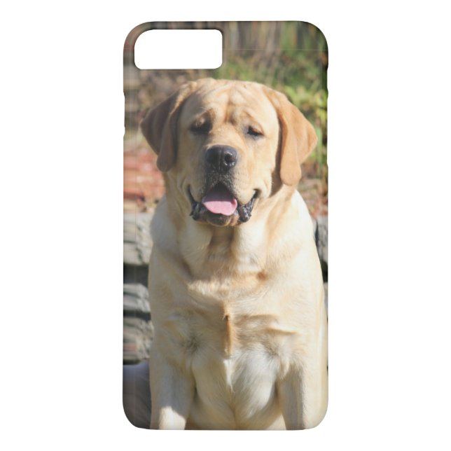 Create your own pet photo Case-Mate iPhone case (Back)