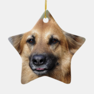 Create your own pet photo ceramic ornament