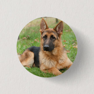 Create Your Own Pet Photo Custom Picture 1 Inch Round Button