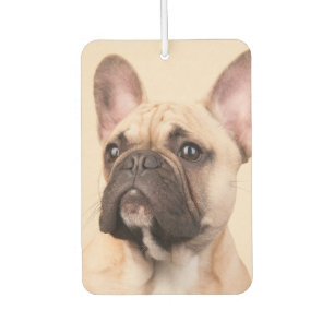 Create Your Own Pet Photo Custom Picture Air Freshener