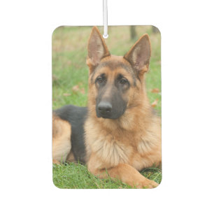 Create Your Own Pet Photo Custom Picture Air Freshener