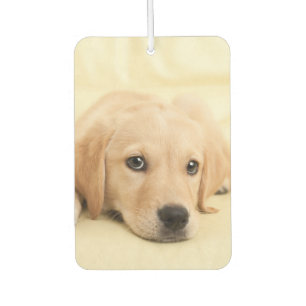 Create Your Own Pet Photo Custom Picture Air Freshener