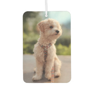 Create Your Own Pet Photo Custom Picture Air Freshener