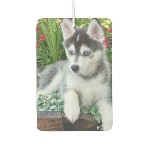 Create Your Own Pet Photo Custom Picture Air Freshener
