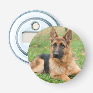 Create Your Own Pet Photo Custom Picture Bottle Opener