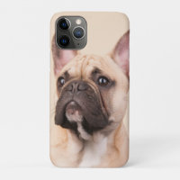 Create Your Own Pet Photo Custom Picture