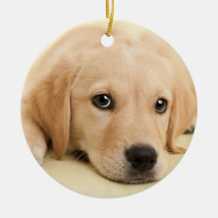 Create Your Own Pet Photo Custom Picture Ceramic Ornament
