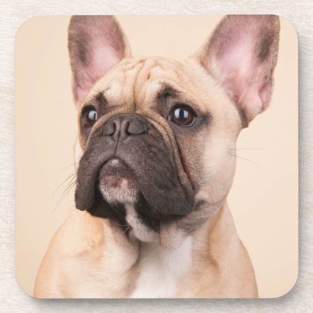 Create Your Own Pet Photo Custom Picture Coaster (Front)