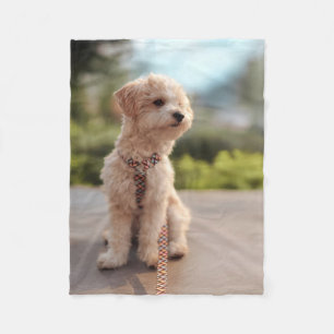 Create Your Own Pet Photo Custom Picture Fleece Blanket