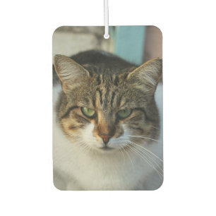 Create Your Own Pet Photo Custom Picture Gift Air Freshener