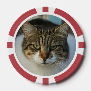 Create Your Own Pet Photo Custom Picture Gift Poker Chips