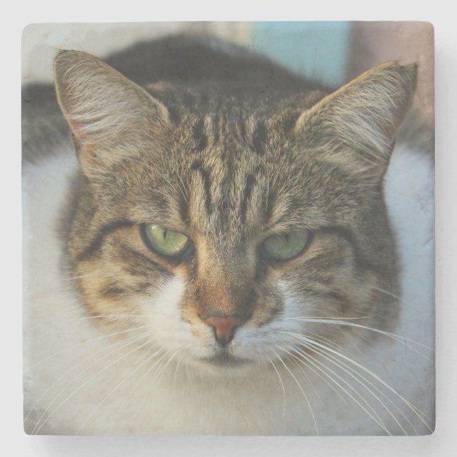 Create Your Own Pet Photo Custom Picture Gift Stone Coaster (Front)