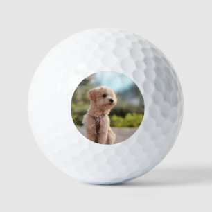 Create Your Own Pet Photo Custom Picture Golf Balls